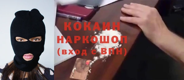 PSILOCYBIN Балахна