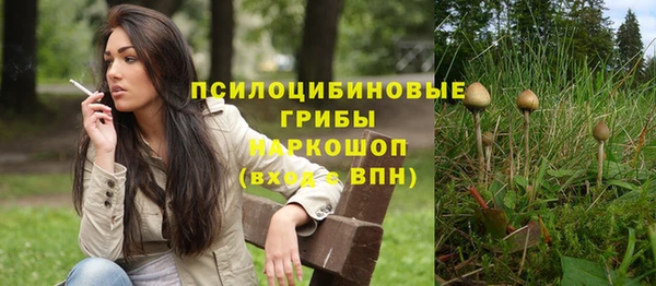 PSILOCYBIN Балахна