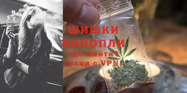PSILOCYBIN Балахна